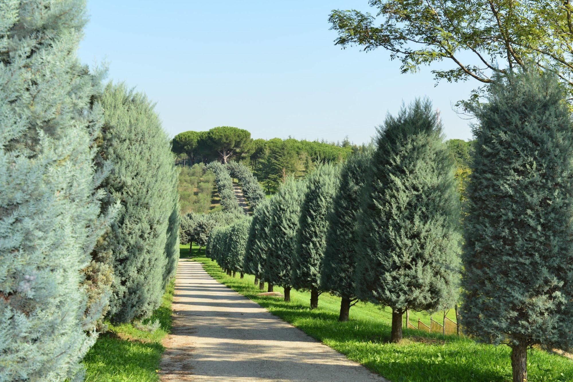Casa Per Ferie Salesianum Villa Fiumicino Buitenkant foto